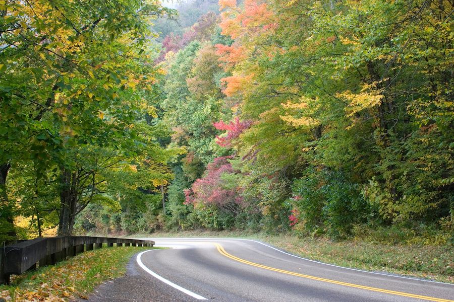 Newfound Gap Road